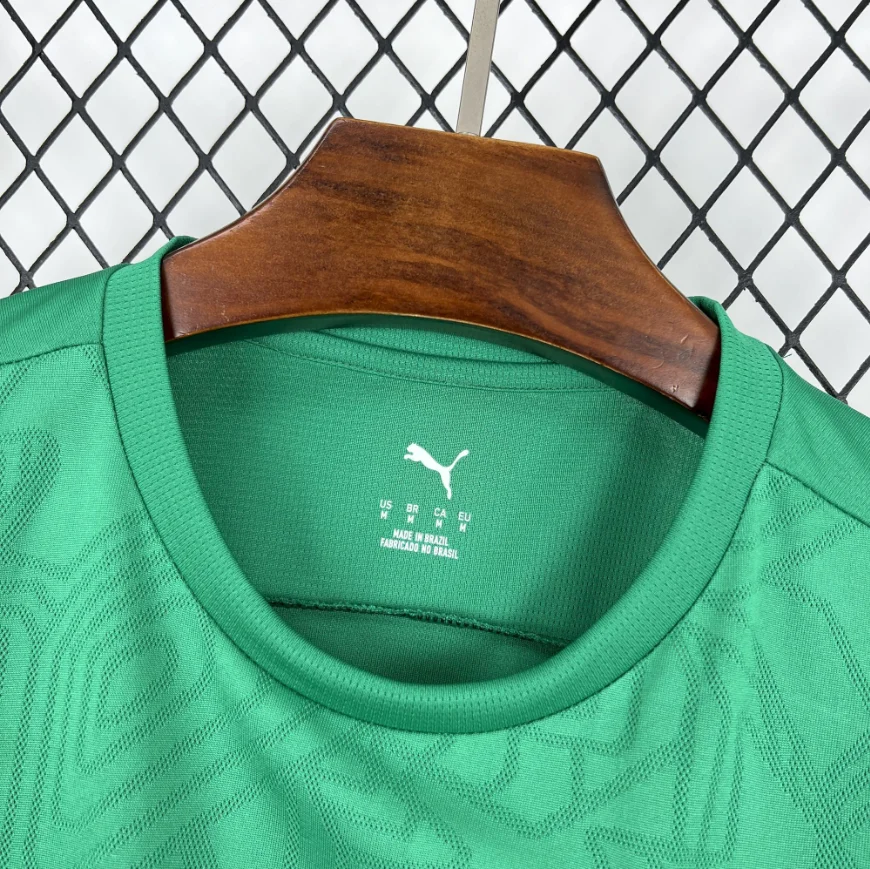 2025/2026 Palmeiras Special Edition Green Football Jersey 1:1 Thai Quality - 图片 3