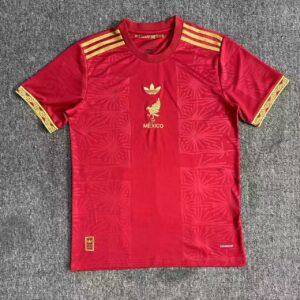 2025 Mexico National Team Special Edition Red Football Shirt 1:1 Thai Quality