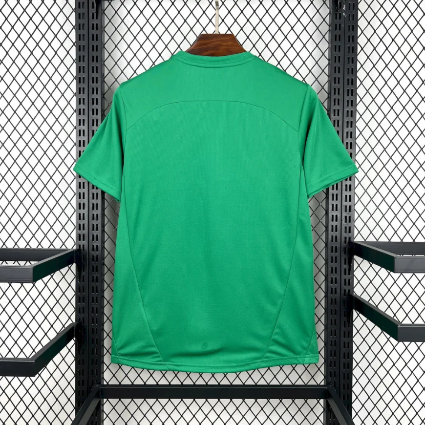 2025/2026 Palmeiras Special Edition Green Football Jersey 1:1 Thai Quality - 图片 2