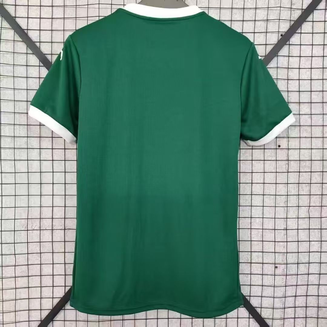 2025/2026 Palmeiras Home football Jersey 1:1 Thai Quality - 图片 2