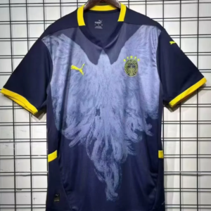 2025/2026 Fenerbahce Special Edition Football Shirt 1:1 Thai Quality