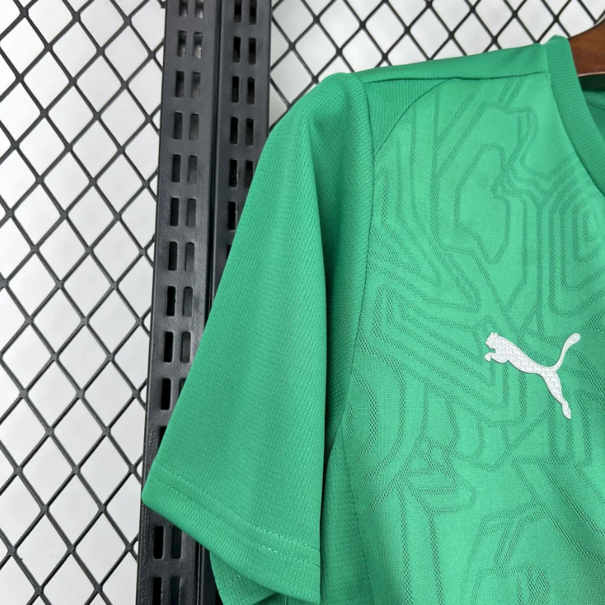 2025/2026 Palmeiras Special Edition Green Football Jersey 1:1 Thai Quality - 图片 4