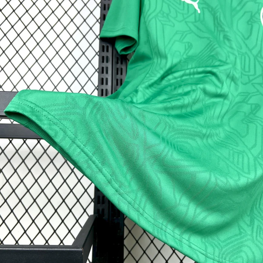 2025/2026 Palmeiras Special Edition Green Football Jersey 1:1 Thai Quality - 图片 7