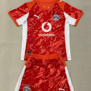 2025/2026 Dortmund Goalkeeper Orange Football Shirt 1:1 Thai Quality