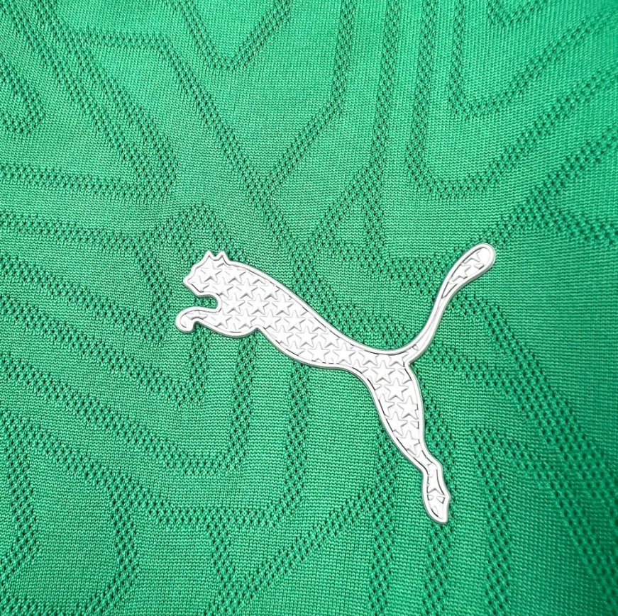2025/2026 Palmeiras Special Edition Green Football Jersey 1:1 Thai Quality - 图片 5